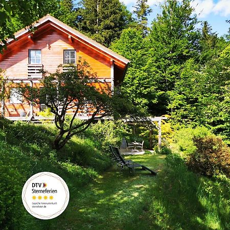 Ferienwohnung Am Woid - Herrliche Alleinlage - Vegane Einrichtung Waldkirchen Extérieur photo