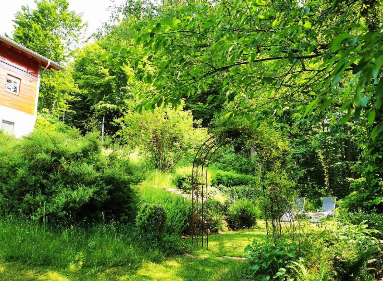 Ferienwohnung Am Woid - Herrliche Alleinlage - Vegane Einrichtung Waldkirchen Extérieur photo